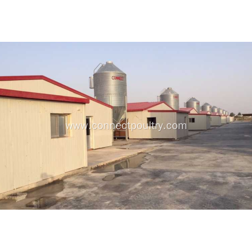 Poultry automatic farming equipment